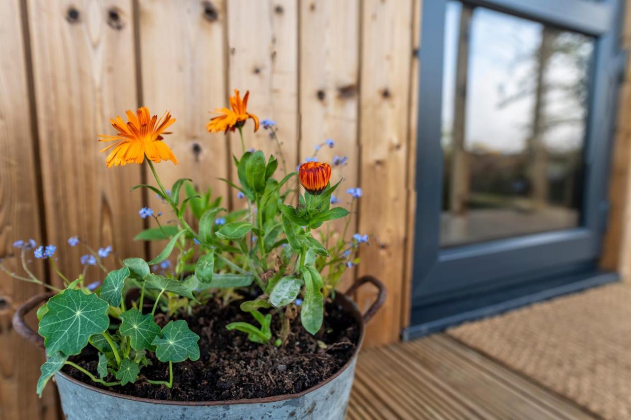 Luxury Glamping Cabin With Outdoor Bath On Cornish Flower Farm Truro Eksteriør bilde